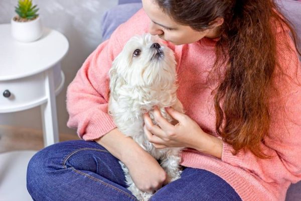 woman sitting on the sofa and hugging and kissing her little white maltese dog in the room