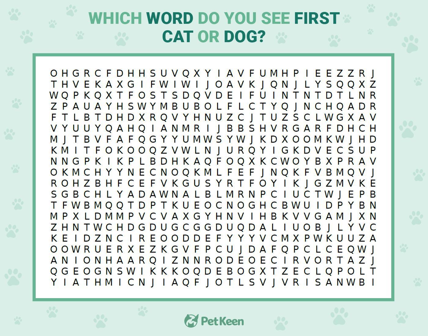 word search puzzle
