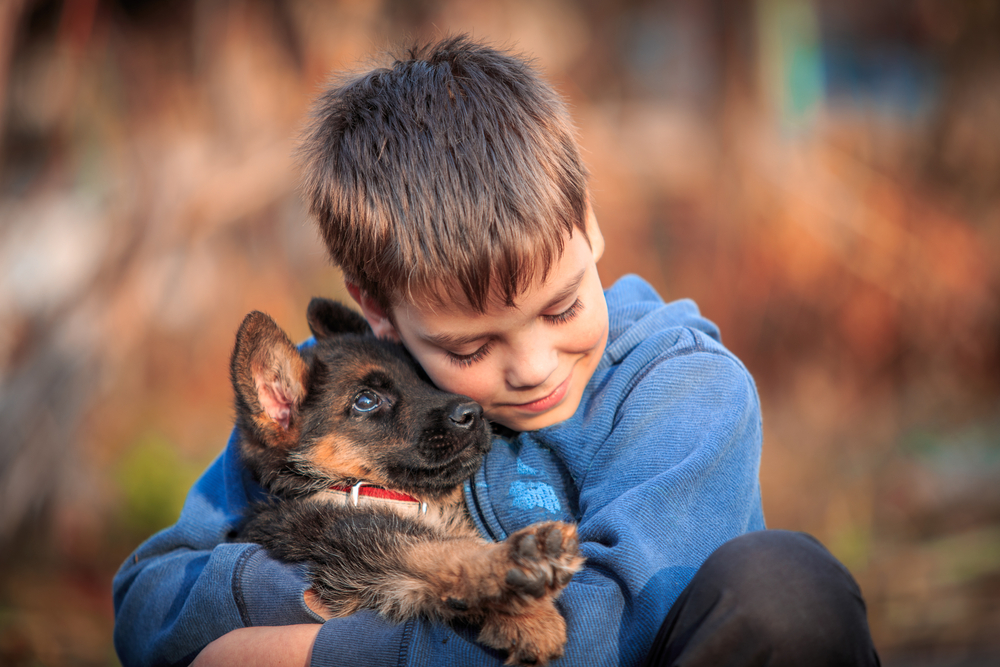 young boy with a german shepherd puppy