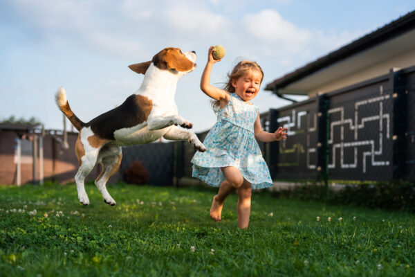 young girl and dog playing at the yard