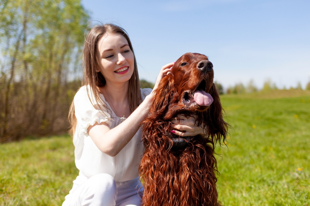 young girl petting brown dog breed Irish setter outdoors in the park