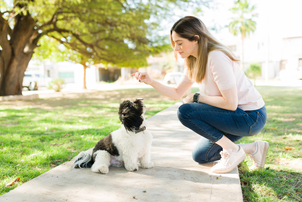 young woman teaching her dog to sit at the park