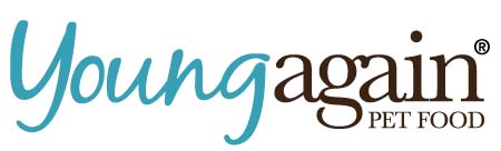 youngagainlogo_2018