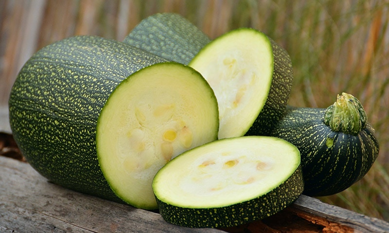 zucchini
