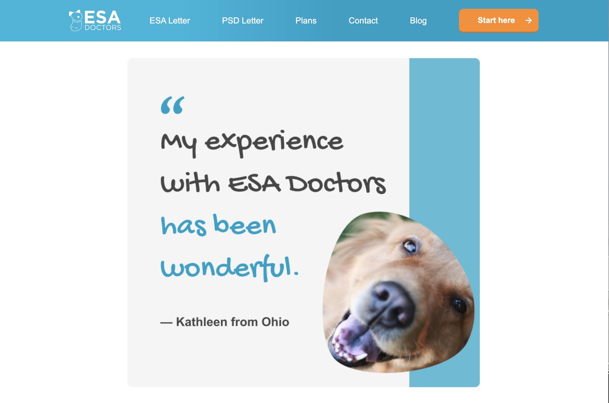 12. Review with dog photo - ESA Doctors Letter Service Review 2024: Our Expert’s Breakdown
