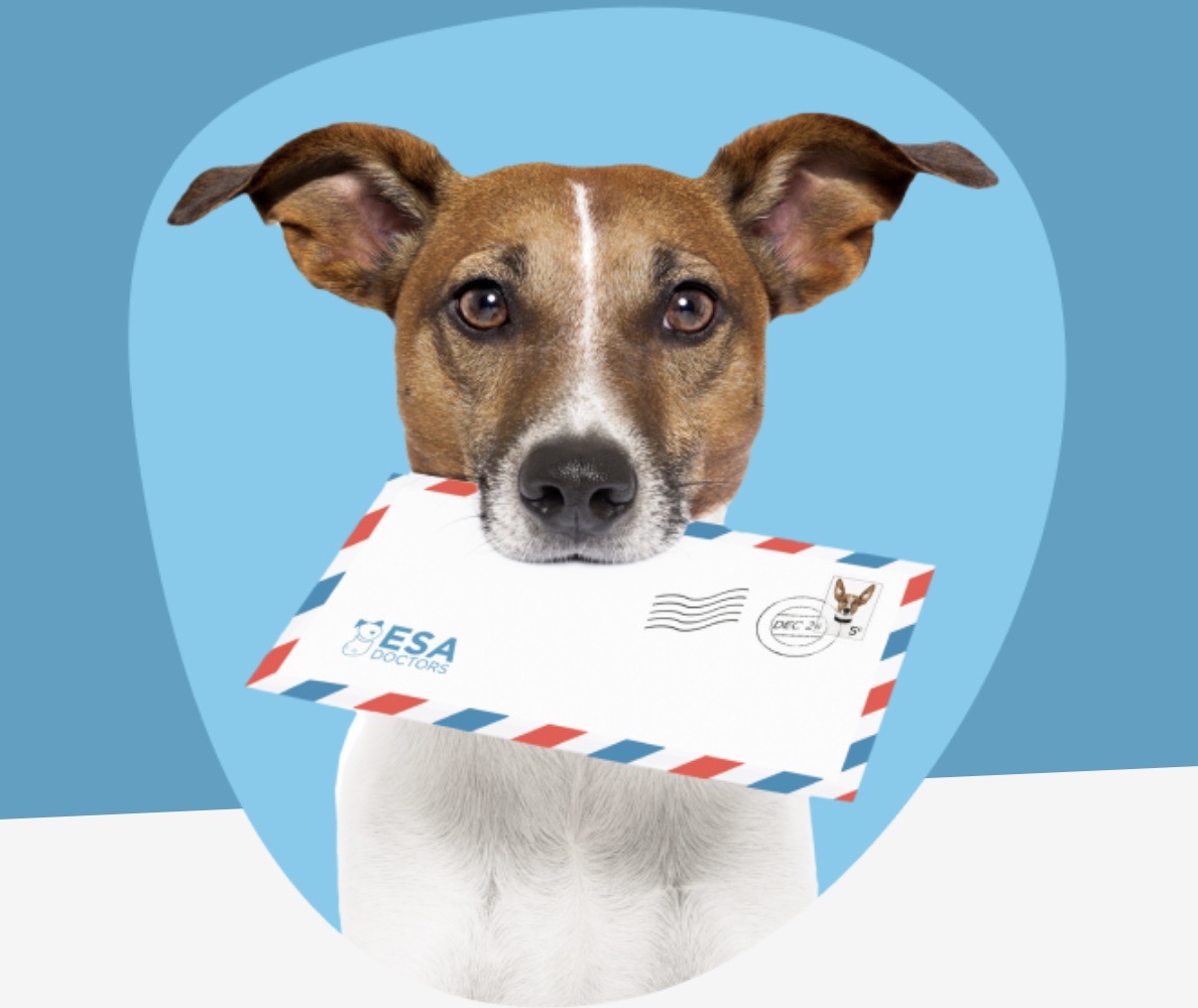 7. Dog with ESA Letter - ESA Doctors Letter Service Review 2024: Our Expert’s Breakdown