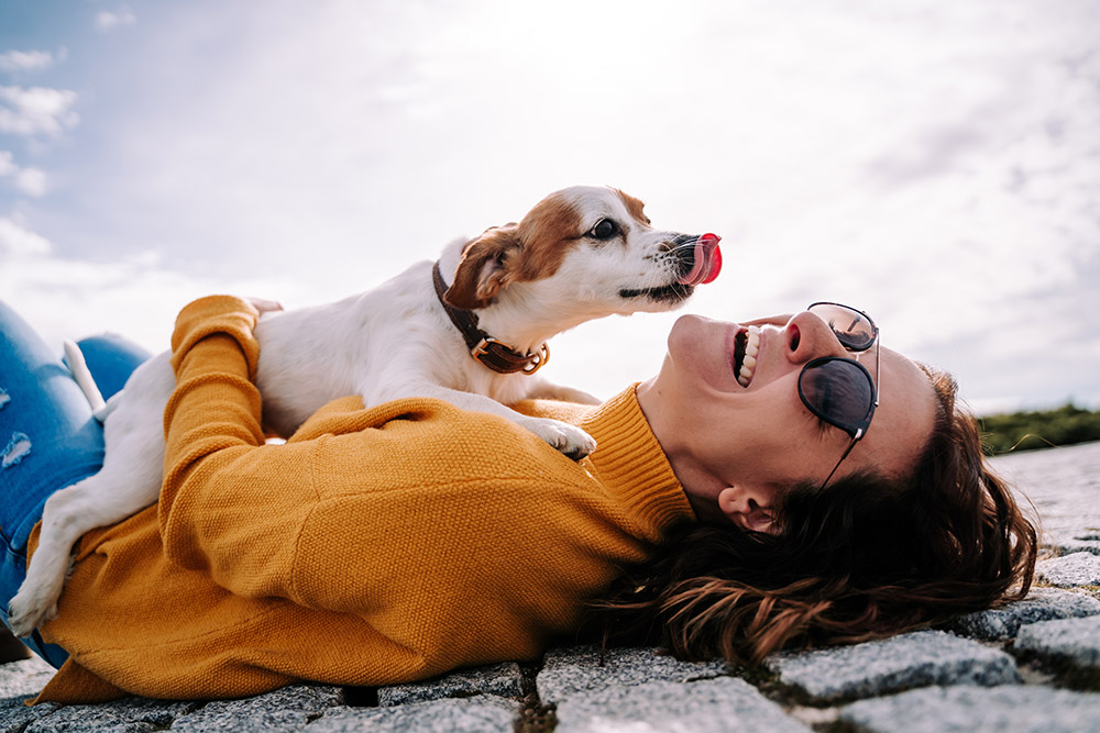 A beautiful woman laughing while her pet is licking her face in a sunny day in the park in Madrid