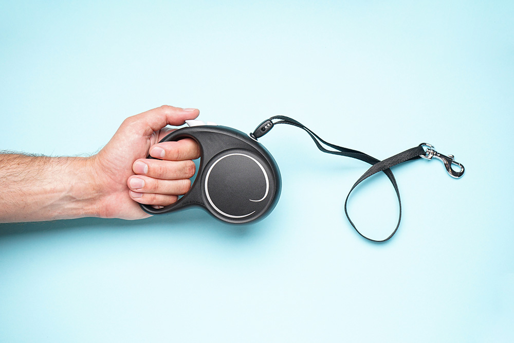 A man holding dog leash in hand on a blue background