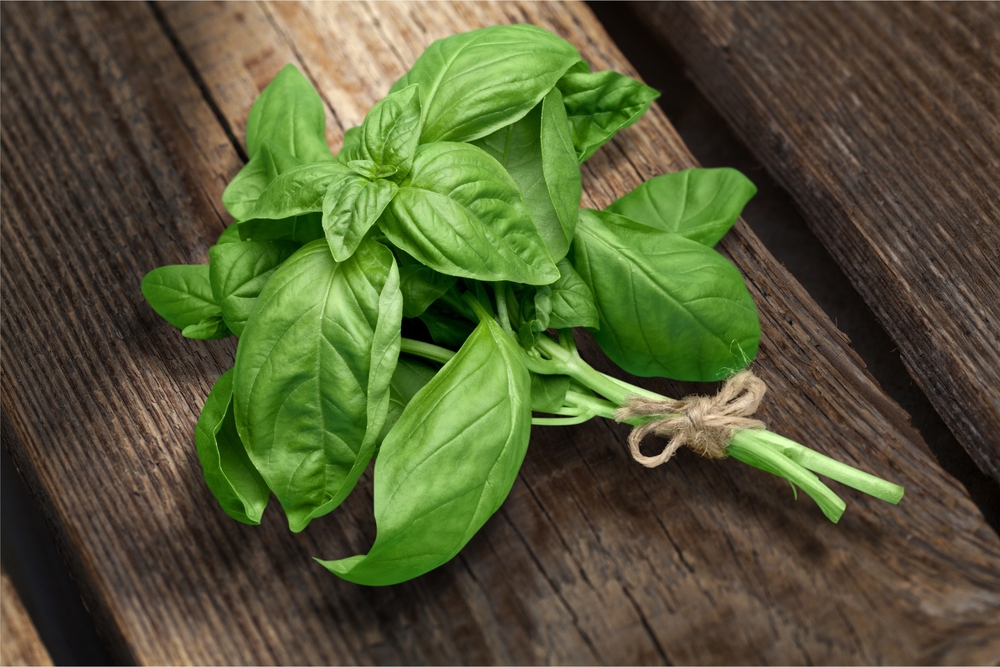 Basil on top of wood