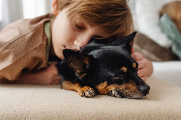 Child with pet dog