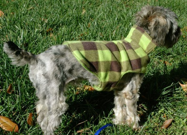 Cozy Fleece Dog Coat by Compulsive Craftiness