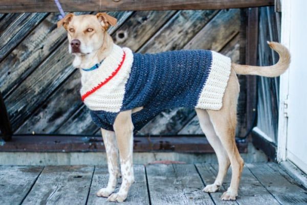 Crochet Dog Sweater by Make & Do Crew