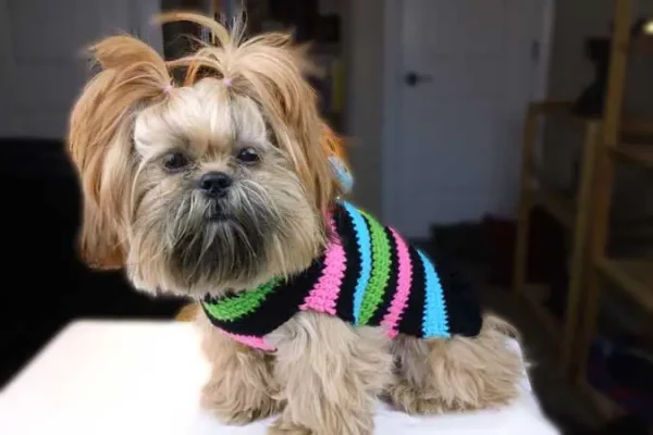 Crocheted Bumble Bee Sweater by Crochet Guru