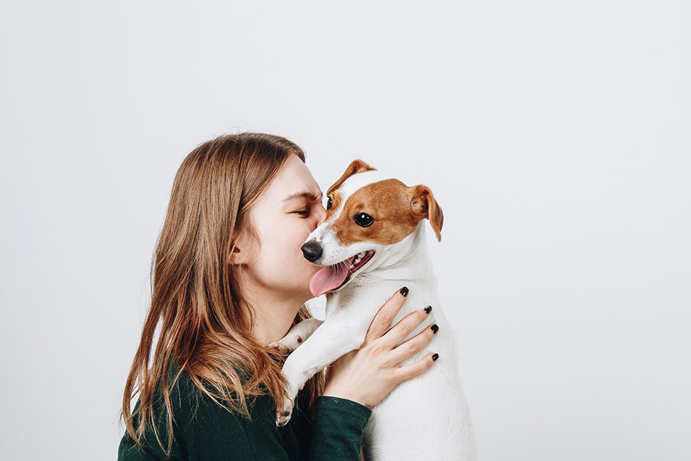Cute young woman kisses and hugs her puppy jack russell terrier dog