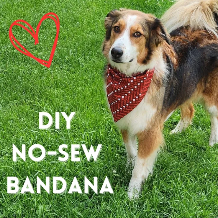 DIY No-Sew Dog Bandana