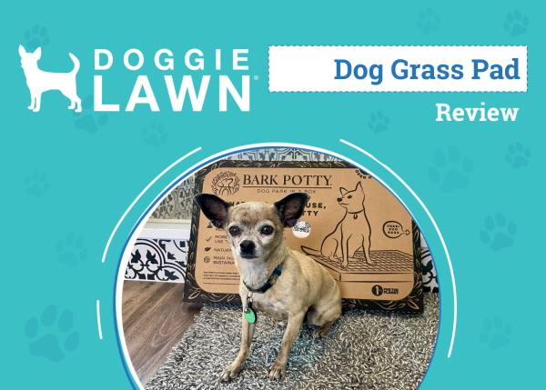 DoggieLawn Dog Grass Pad