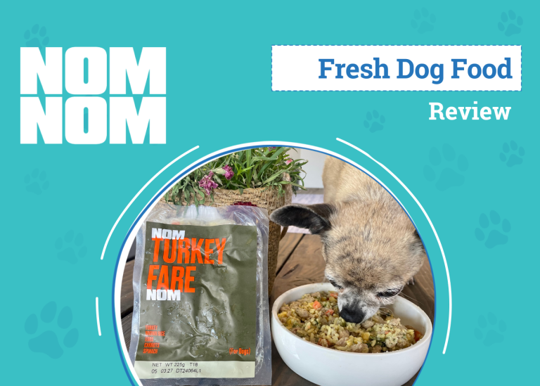 Nom Nom Dog Food Subscription Review 2024 Our Expert’s Breakdown Dogster