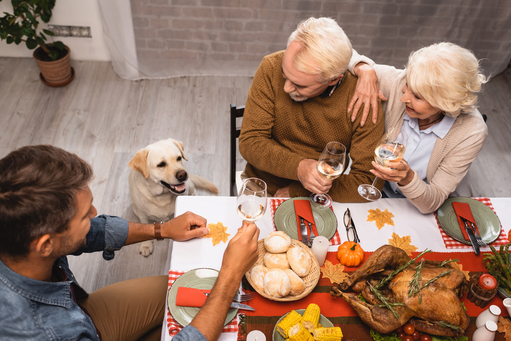 Dog sitting next ot the dinner table at thanksgiving 