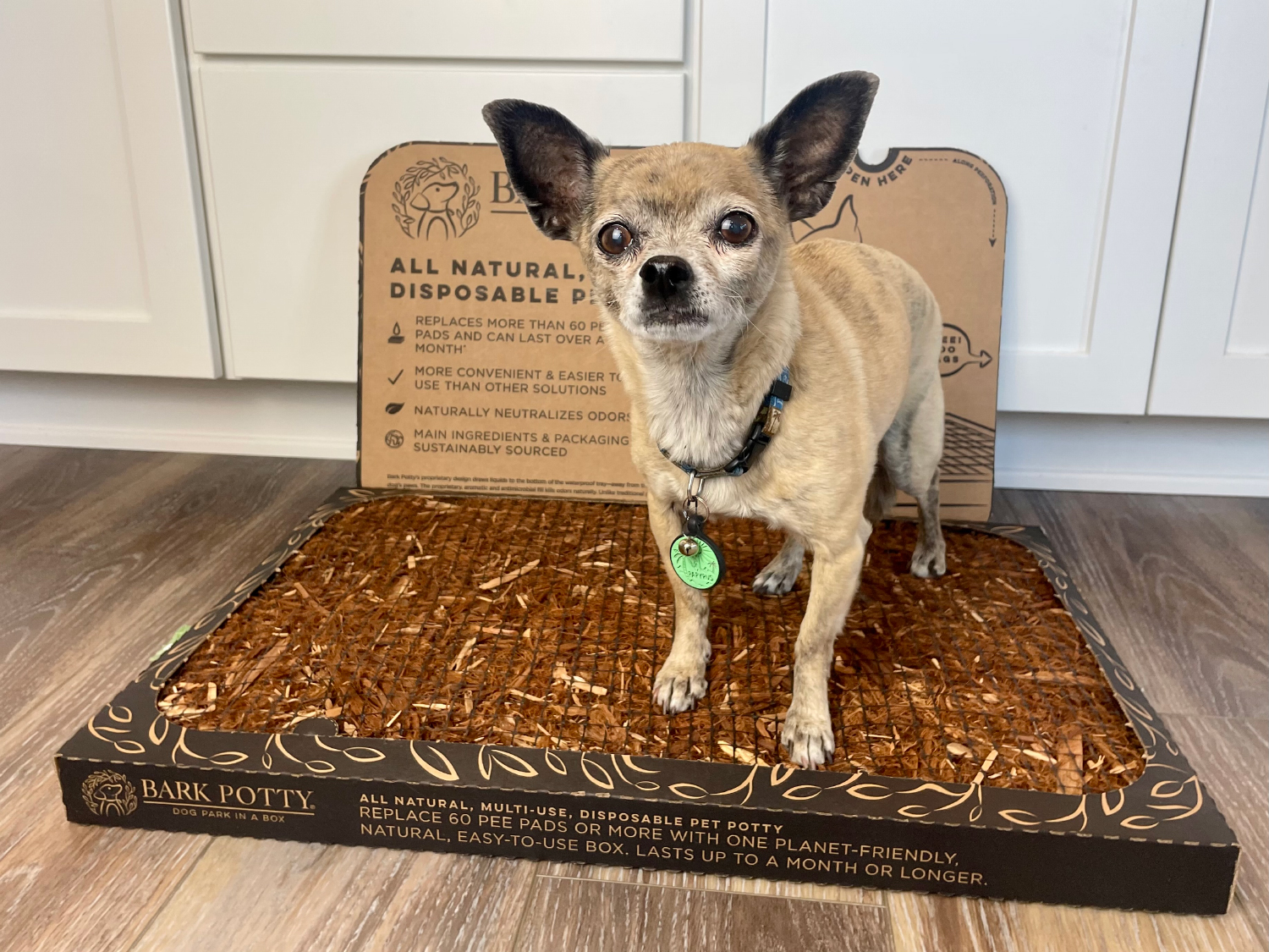 DoggieLawn Bark Potty papyrus on the product - DoggieLawn Review 2024: An Expert Breakdown