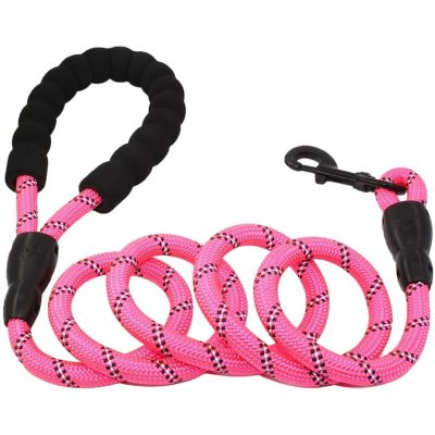Doggy Tales Braided Rope Dog Leash (5-ft)