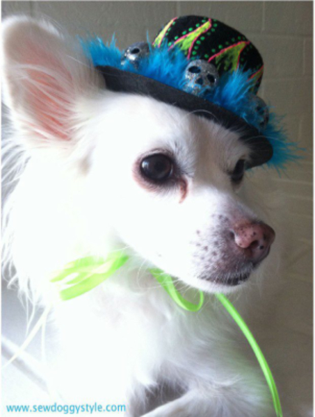 Doggy Top Hat DIY