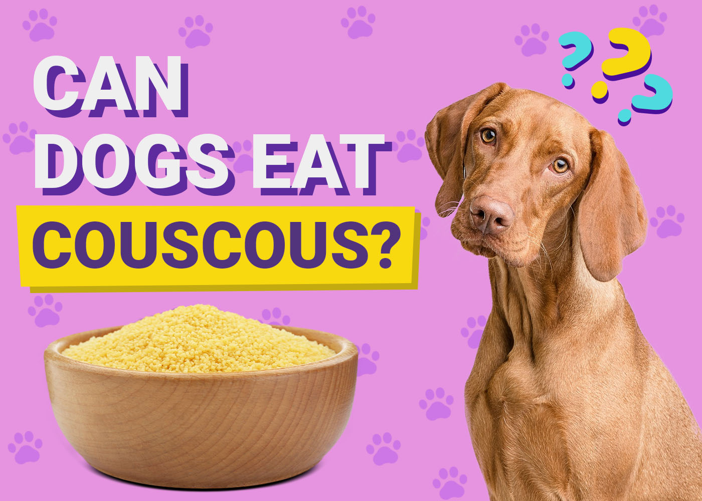 Can Dogs Eat Couscous