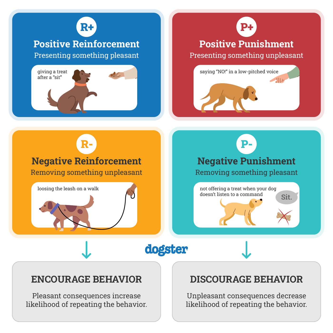 Dogster_The Four Quadrants of Operant Conditioning Training_Infographic_v2-2 FINAL_Mar 20 2024