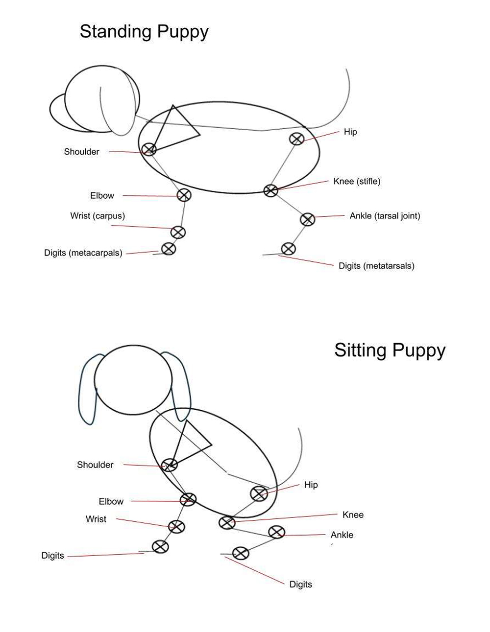 Drawing Guide - Puppy Body