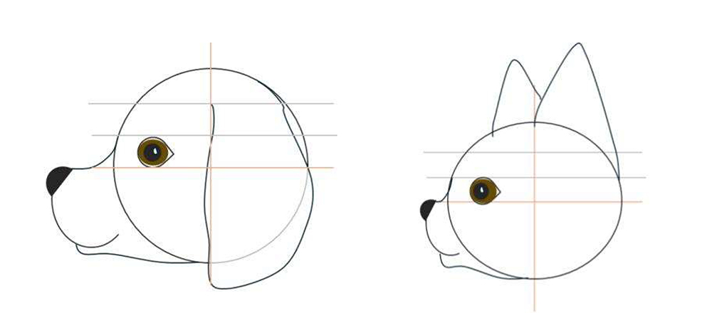 Drawing Guide - Puppy Faces_side