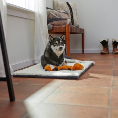 Frisco Self-Warming Reversible Dog Mat