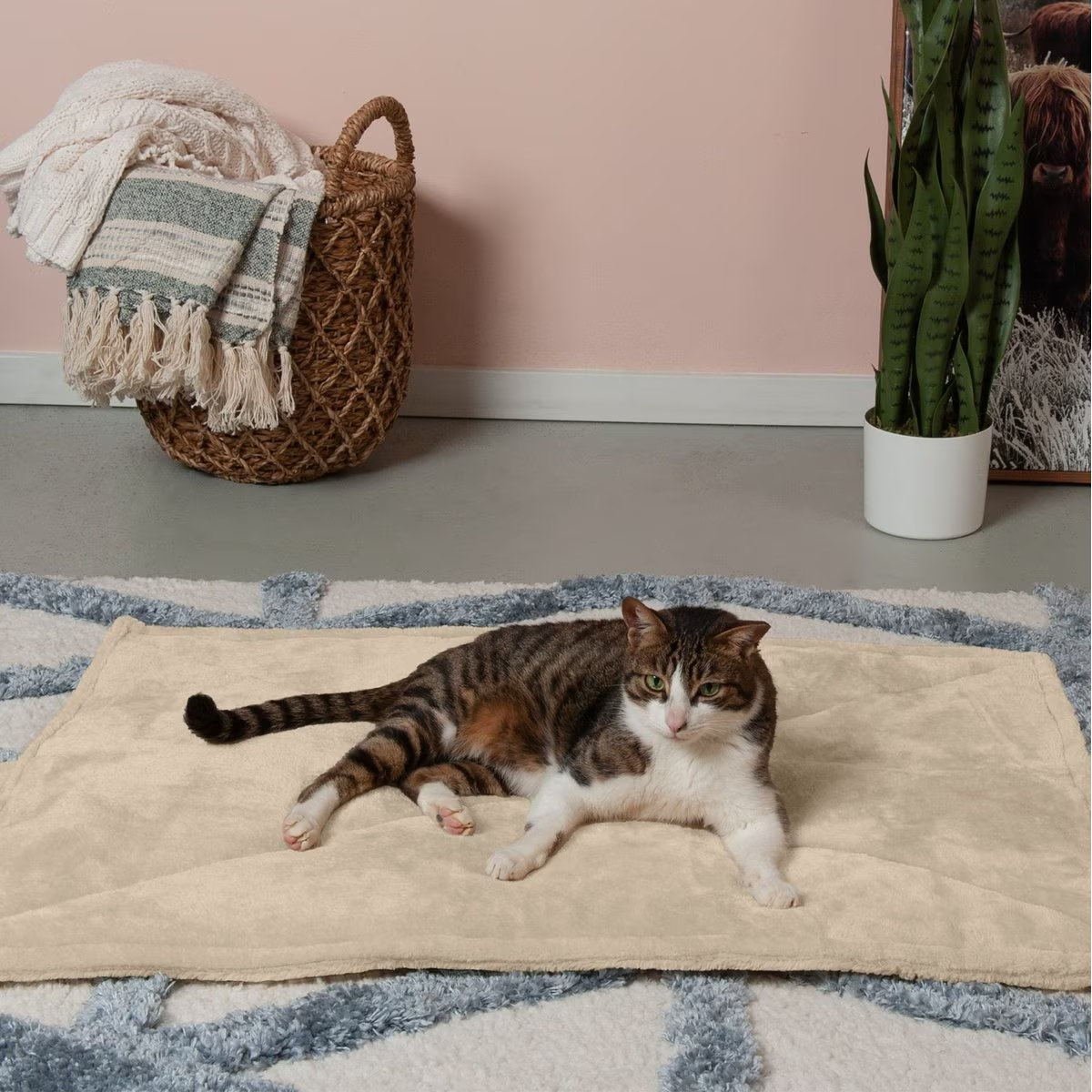 FurHaven ThermaNAP Faux Fur Self-Warming Dog & Cat Mat