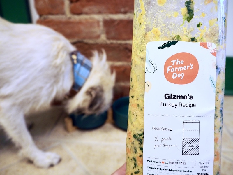 Gizmos-Turkey-Recipe-from-The-Farmers-Dog-package-and-eating-from-bowl_Kate