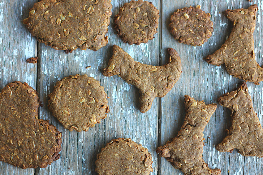 Golden Barrel Dog Treats Made with Coconut Oil and Molasses