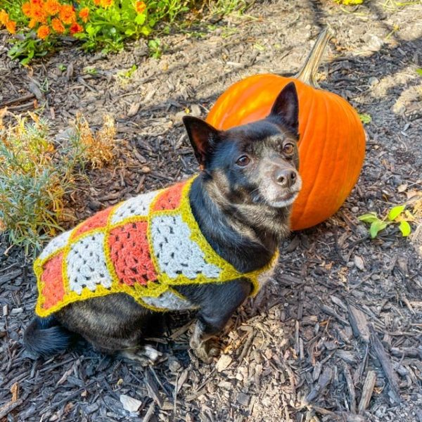 Granny Square Sweater by Firefly Fiber Arts