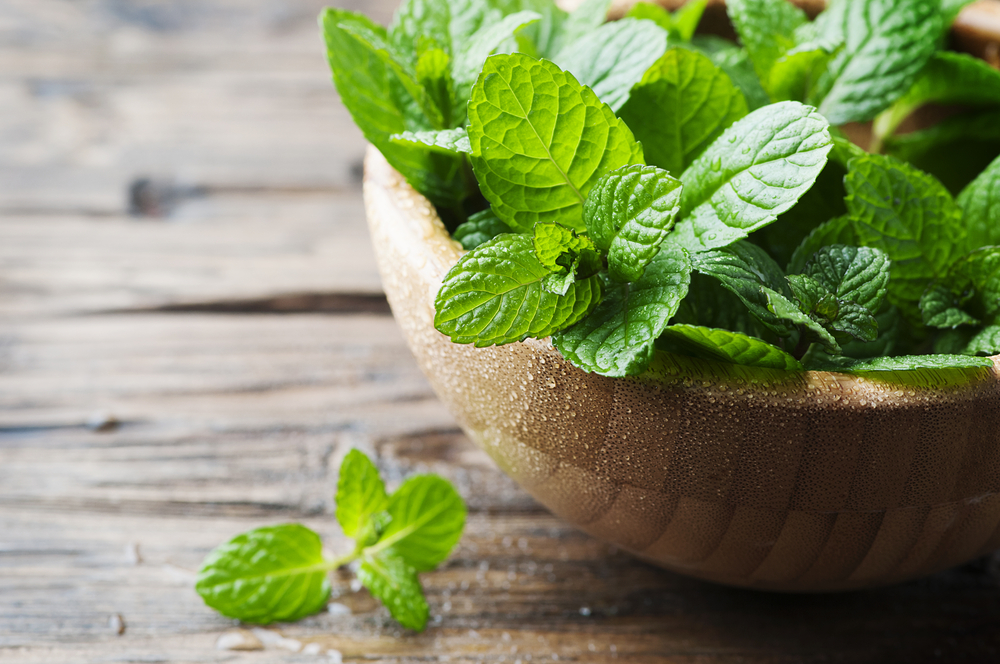 Green fresh mint om the wooden table