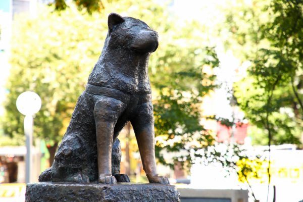 Hachiko dog statue