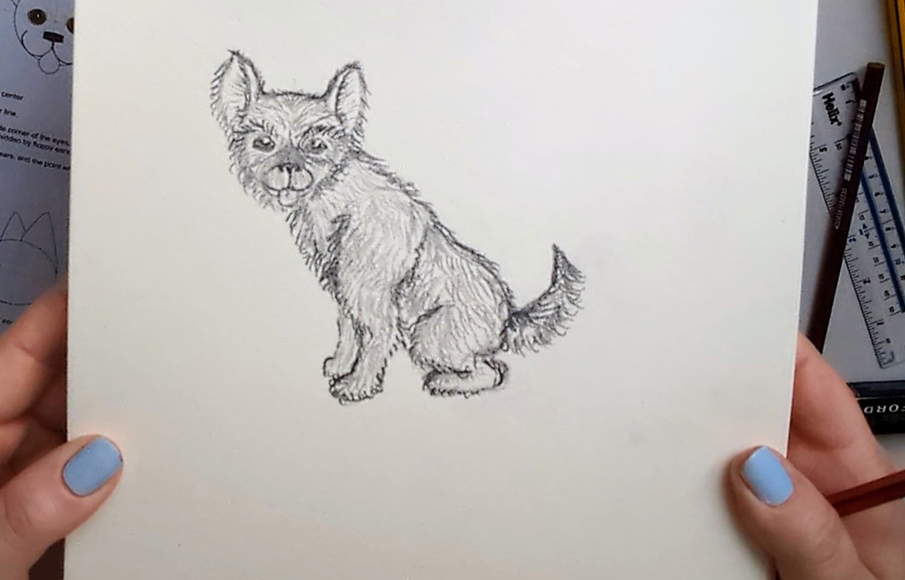 How to Draw a Puppy_Sitting 12