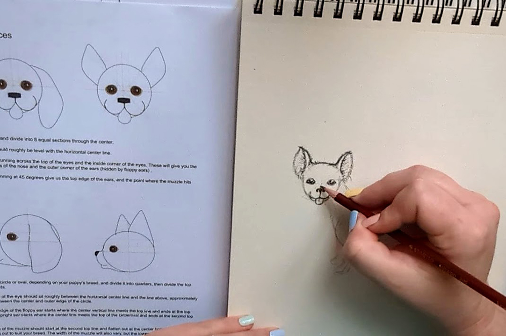 How to Draw a Puppy_Sitting 7