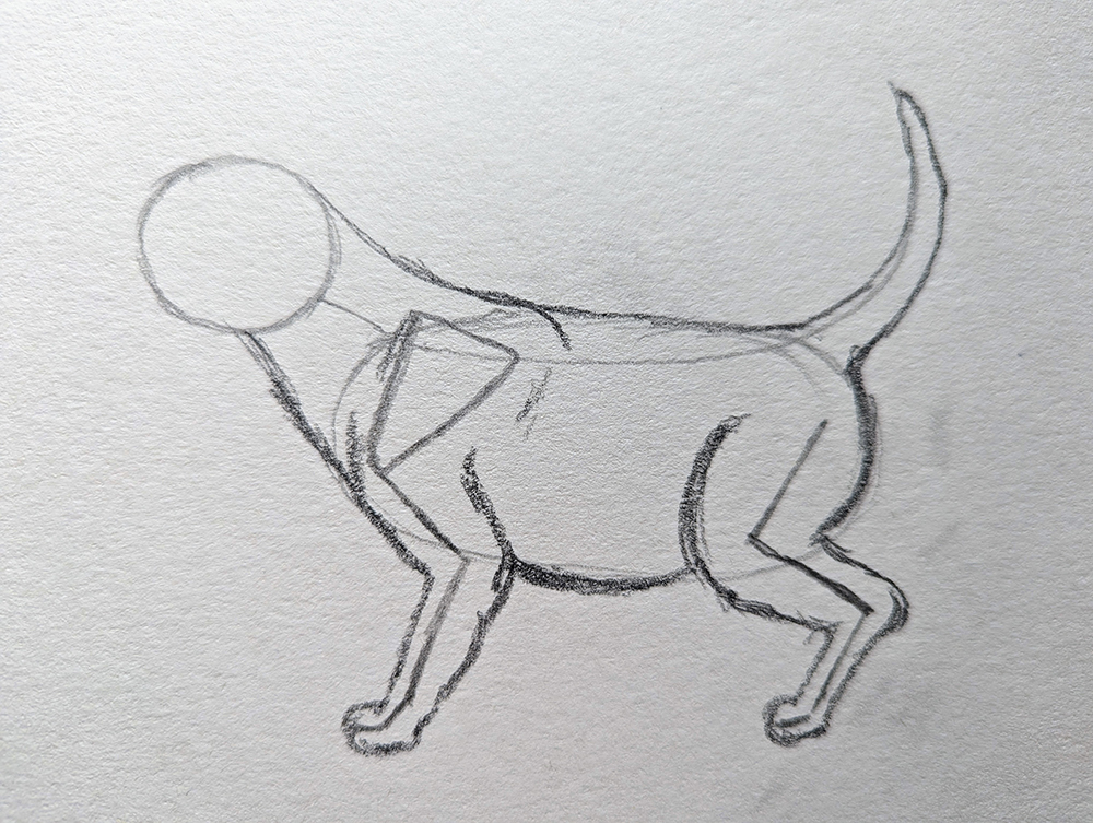 How to Draw a Puppy_Standing 2
