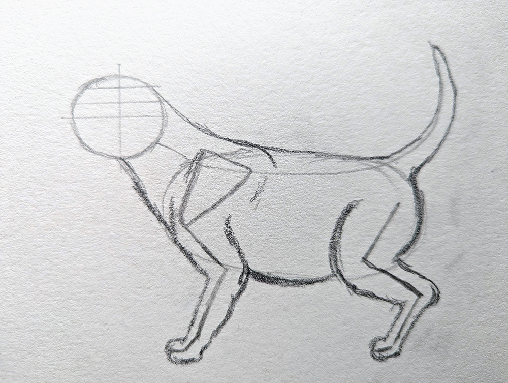 How to Draw a Puppy_Standing 3