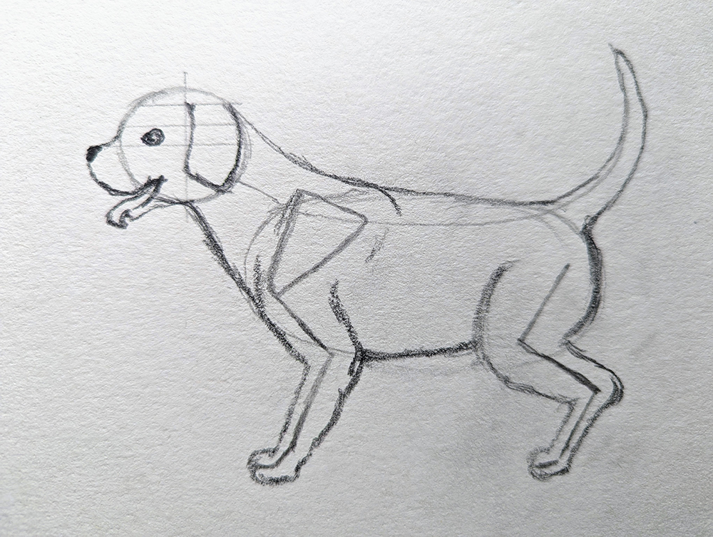 How to Draw a Puppy_Standing 4