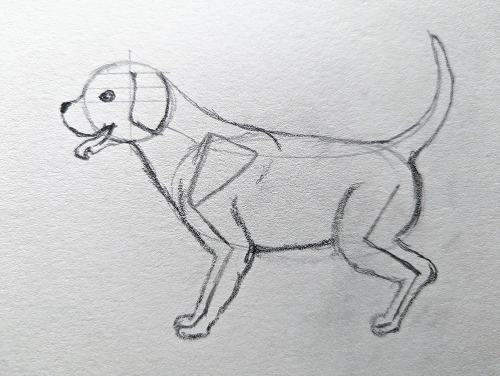 How to Draw a Puppy_Standing 4