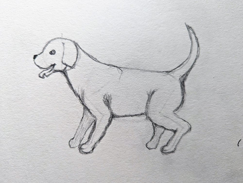 How to Draw a Puppy_Standing 5