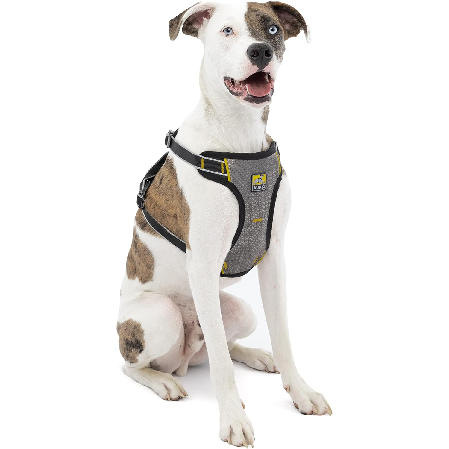 Kurgo Car Safety Crash Tested Harness for Dogs