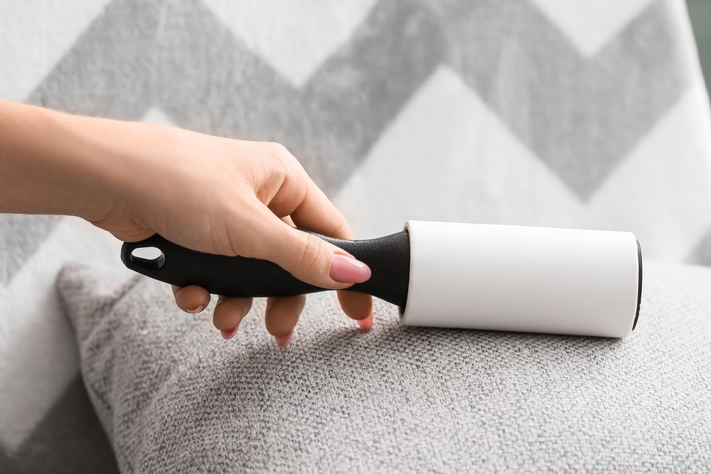 Can I Use a Lint Roller on My Dog Vet Approved Facts FAQ Dogster