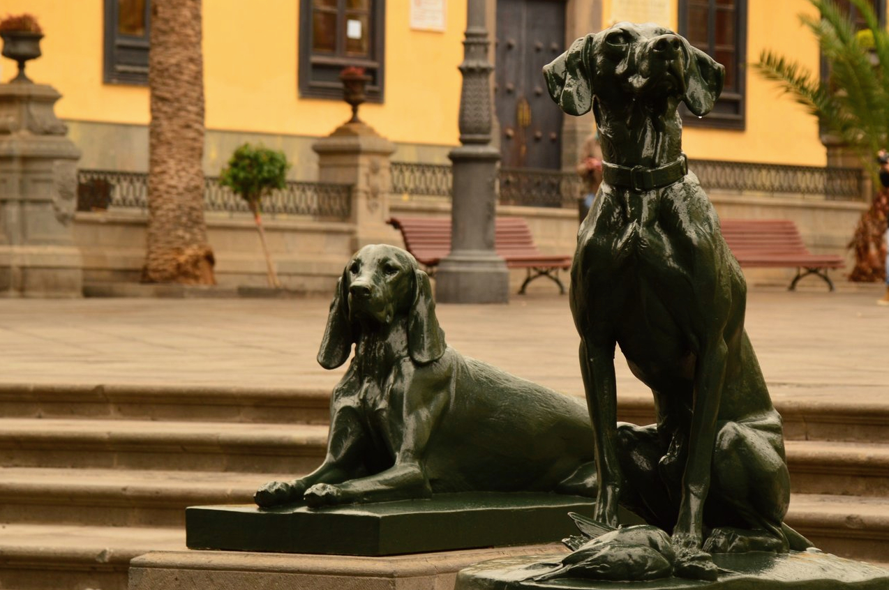 Los Perros De La Plaza