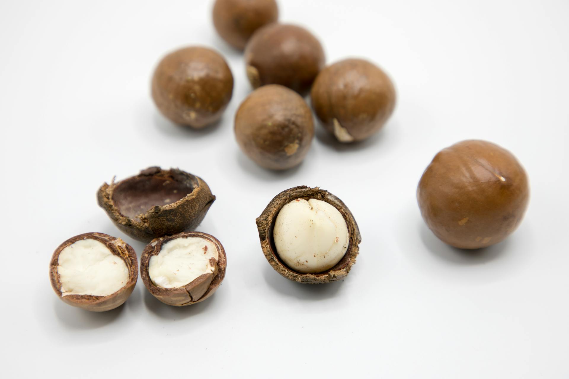 Macadamia Nuts on a white background