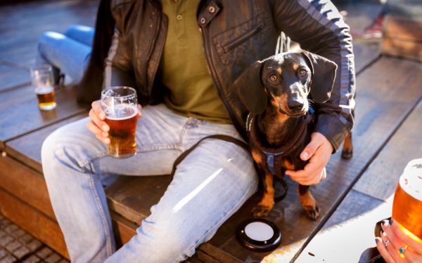 Man holding a glass of beer with Dachshund
