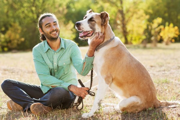 Man petting a Central Asian shepherd walk in the park and keeps the dog on the leash