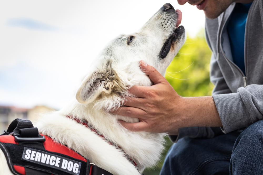 Man with disability with his service dog using electric wheelchair